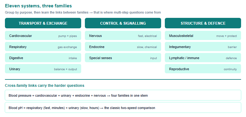 Diagram grouping eleven human body systems into three functional families: transport and exchange, control and signalling, and structure, defence and continuity