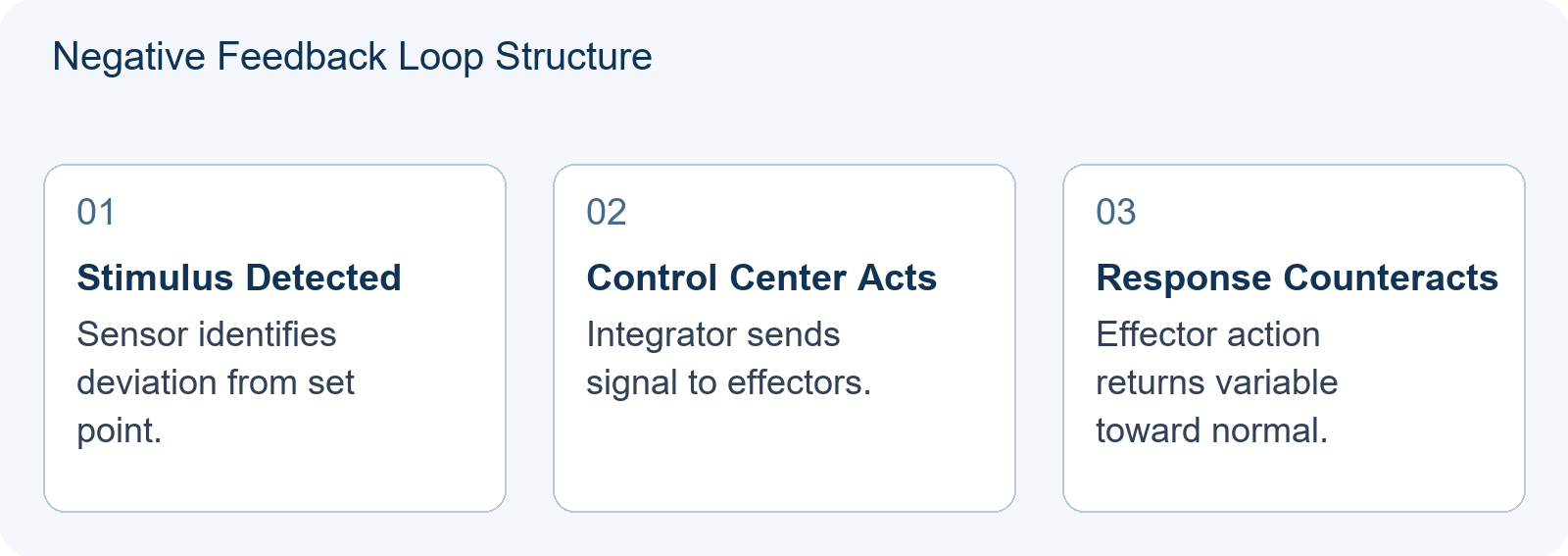 Negative Feedback Loop Structure