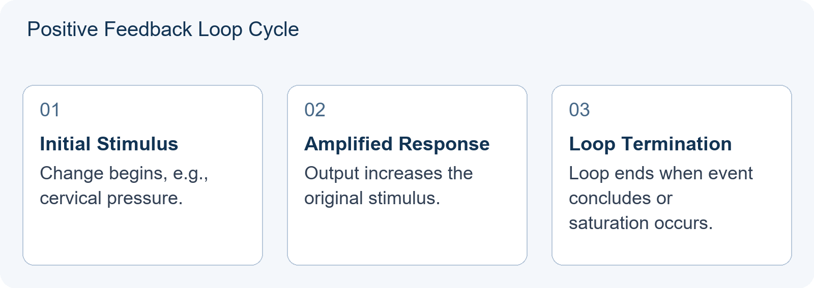 Positive Feedback Loop Cycle
